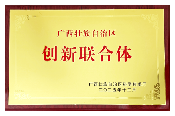 广西壮族自治区创新联合体